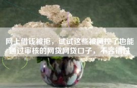 网上借钱被拒，试试这些被风控了也能通过审核的网贷网贷口子，不容错过
