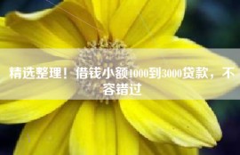精选整理！借钱小额1000到3000贷款，不容错过