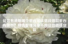 征信有逾期哪个平台可以借钱借款平台有哪些？精选整理分享不用征信借钱贷款