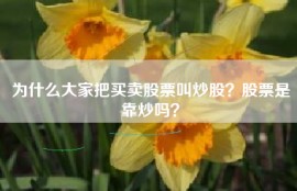 为什么大家把买卖股票叫炒股？股票是靠炒吗？