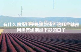 有什么网贷口子是黑网贷？这几个就是网黑有逾期能下款的口子