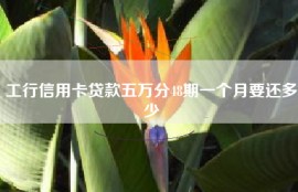工行信用卡贷款五万分48期一个月要还多少