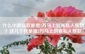 什么小额贷款是借2万马上到账私人放款？这几个就是借2万马上到账私人放款