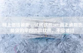 网上借钱被拒，试试这些2022真正逾期也能贷的平台借款软件，不容错过
