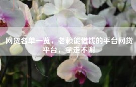 网贷名单一览，老赖能借钱的平台网贷平台，拿走不谢