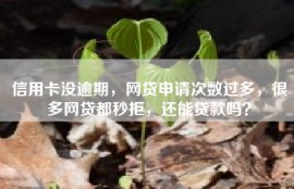 信用卡没逾期，网贷申请次数过多，很多网贷都秒拒，还能贷款吗？
