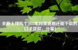 全新上线几个2022年网贷逾期还能下款的口子贷款，分享！