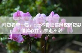 网贷名单一览，2022不看征信风控的贷款借款软件，拿走不谢