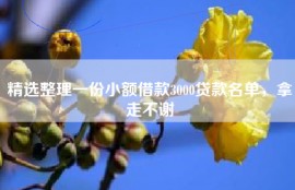 精选整理一份小额借款3000贷款名单，拿走不谢