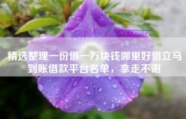 精选整理一份借一万块钱哪里好借立马到账借款平台名单，拿走不谢