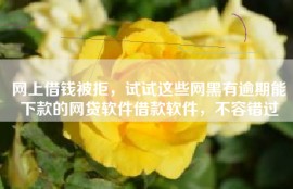 网上借钱被拒，试试这些网黑有逾期能下款的网贷软件借款软件，不容错过