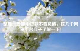 整理一份哪个贷款不看负债，这几个网贷平台口子了解一下！