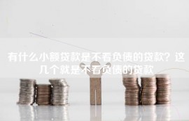 有什么小额贷款是不看负债的贷款？这几个就是不看负债的贷款