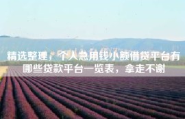 精选整理，个人急用钱小额借贷平台有哪些贷款平台一览表，拿走不谢