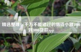 精选整理！千万不能错过的借钱小额1000到3000贷款app