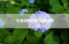 无视征信的网贷有哪些