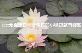 2022无视黑白一分钟过的小额贷款有哪些?