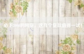 必下3000的网贷，这几个贷款值得一试！