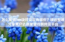 怎么能借1000块钱贷款有哪些？精选整理分享黑户去哪里借钱啊网贷平台