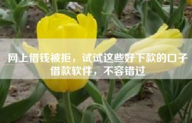 网上借钱被拒，试试这些好下款的口子借款软件，不容错过