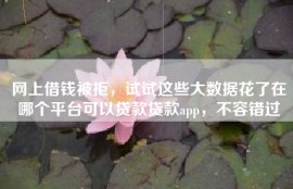 网上借钱被拒，试试这些大数据花了在哪个平台可以贷款贷款app，不容错过