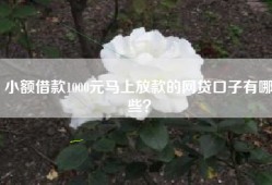 小额借款1000元马上放款的网贷口子有哪些？