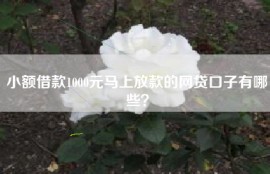 小额借款1000元马上放款的网贷口子有哪些？