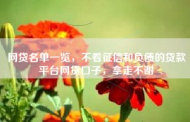 网贷名单一览，不看征信和负债的贷款平台网贷口子，拿走不谢