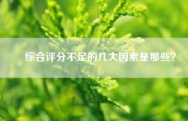 ​综合评分不足的几大因素是那些？