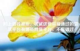 网上借钱被拒，试试这些容易通过的贷款平台有哪些网贷平台，不容错过