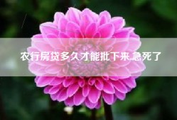 农行房贷多久才能批下来.急死了