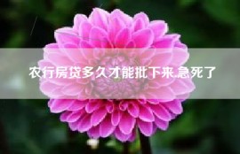 农行房贷多久才能批下来.急死了