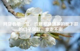 网贷名单一览，资质差负债多的能下款的口子贷款，拿走不谢