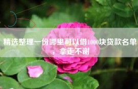 精选整理一份哪里可以借1000块贷款名单，拿走不谢