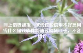 网上借钱被拒，试试这些信用不好急用钱什么借钱软件能通过网贷口子，不容错过