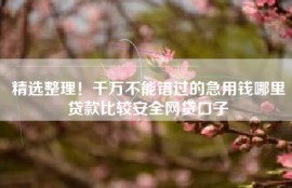 精选整理！千万不能错过的急用钱哪里贷款比较安全网贷口子