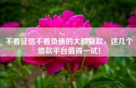 不看征信不看负债的大额贷款，这几个借款平台值得一试！