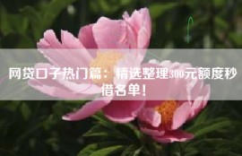 网贷口子热门篇：精选整理300元额度秒借名单！