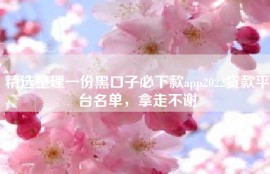 精选整理一份黑口子必下款app2022贷款平台名单，拿走不谢