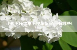 正规不压绿本不押车贷款app有哪些?