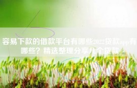 容易下款的借款平台有哪些2022贷款app有哪些？精选整理分享几个贷款