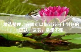 精选整理，在哪可以借到钱马上到账的贷款一览表，拿走不谢