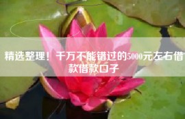 精选整理！千万不能错过的5000元左右借款借款口子