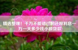 精选整理！千万不能错过的还呗利息一万一天多少钱小额贷款