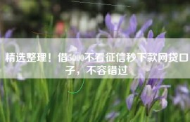 精选整理！借5000不看征信秒下款网贷口子，不容错过