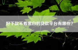 好下款不看黑白的贷款平台有哪些？