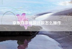 京东白条提前还款怎么操作