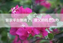 贷款平台倒闭了，我欠的钱怎么办