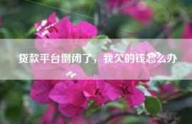 贷款平台倒闭了，我欠的钱怎么办