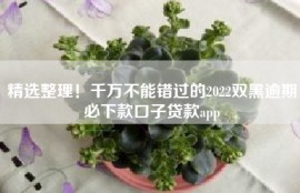 精选整理！千万不能错过的2022双黑逾期必下款口子贷款app